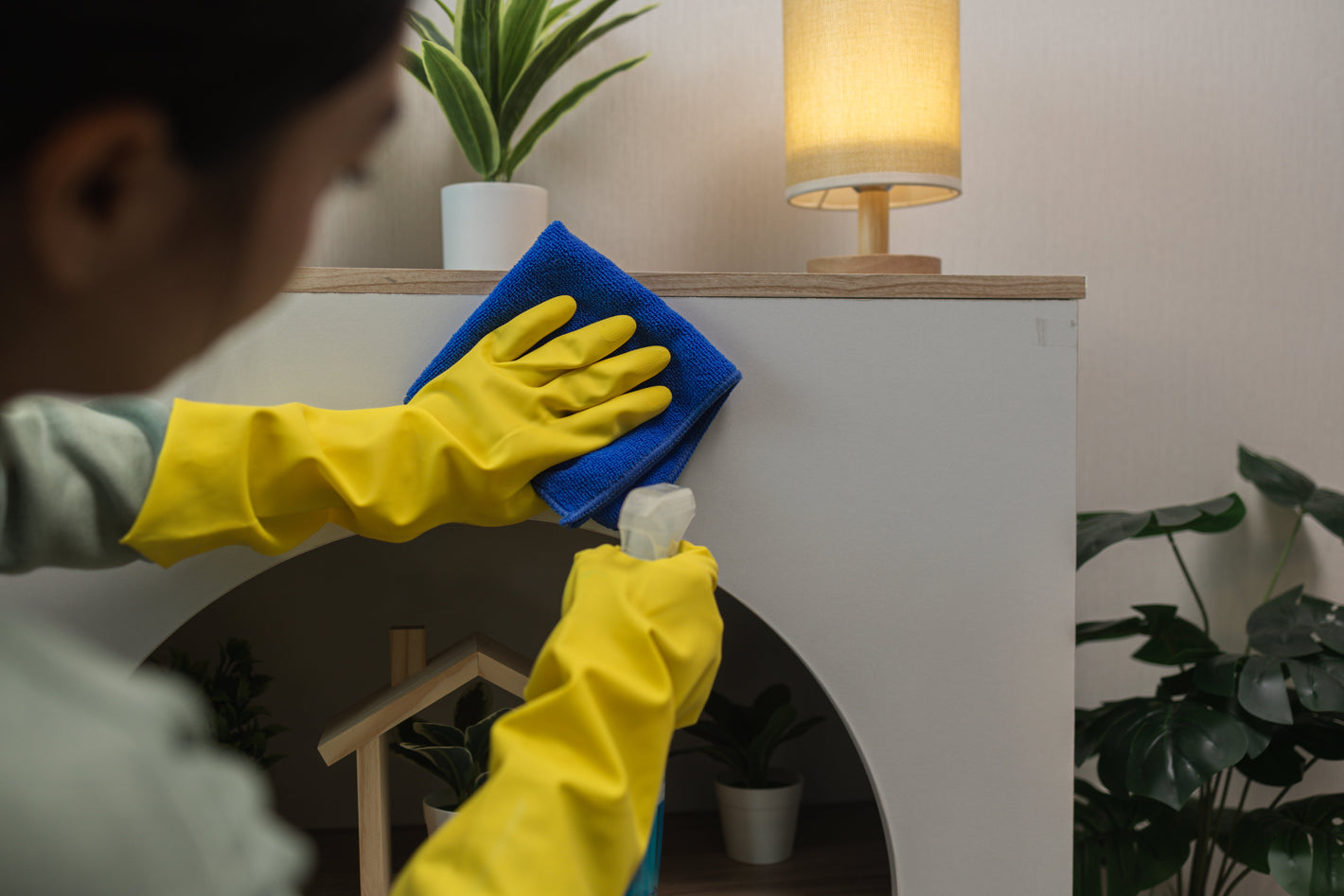 Curățenie și Întreținere