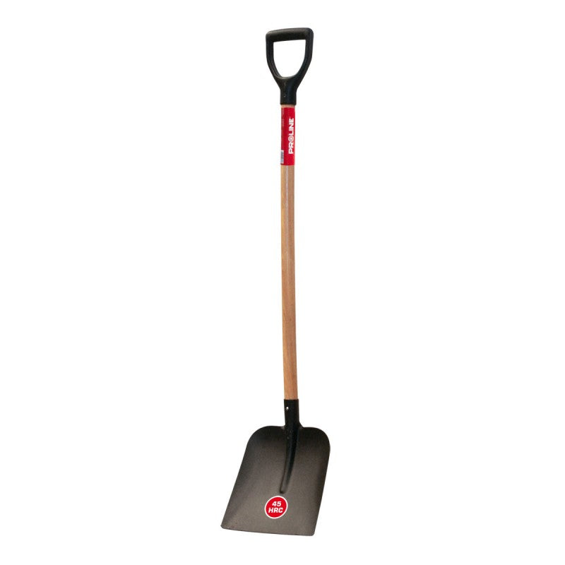 Lopată cu mâner lemn tip-DY 250×280 mm 1250 mm PROLINE 12376
