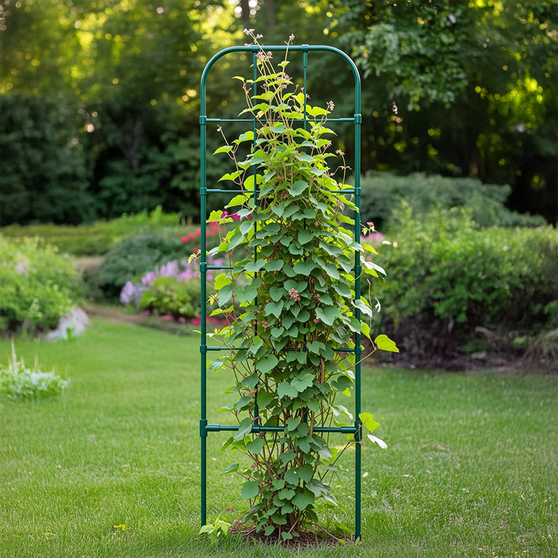 Suport plante ghiveci cu arcadă, 260 mm × 750 mm RPX-GRA 46633R