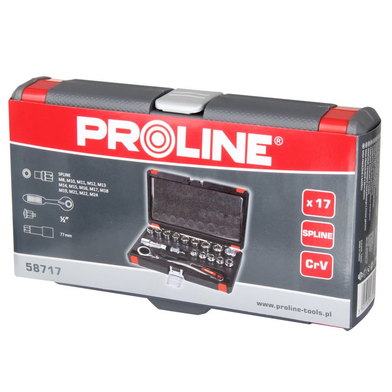 Trusă tubulare canelate speciale cu canal, 17 piese, clichet reversibil PROLINE 58717