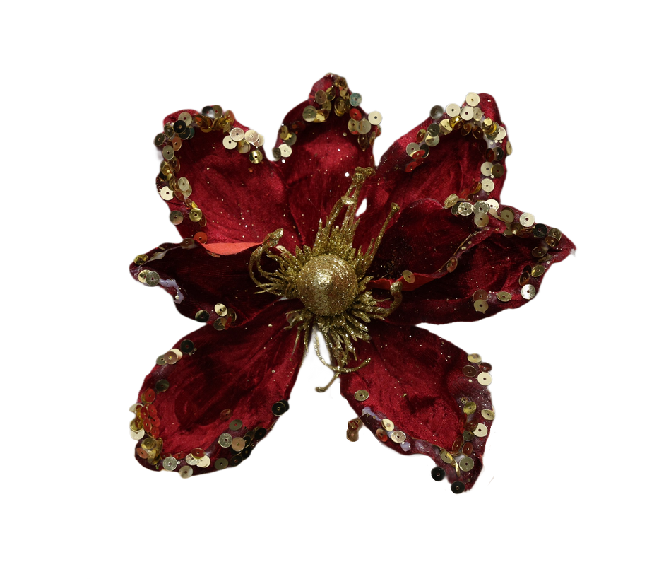 Magnolie Catifea Rosie Cu Paiete Aurii Xmas