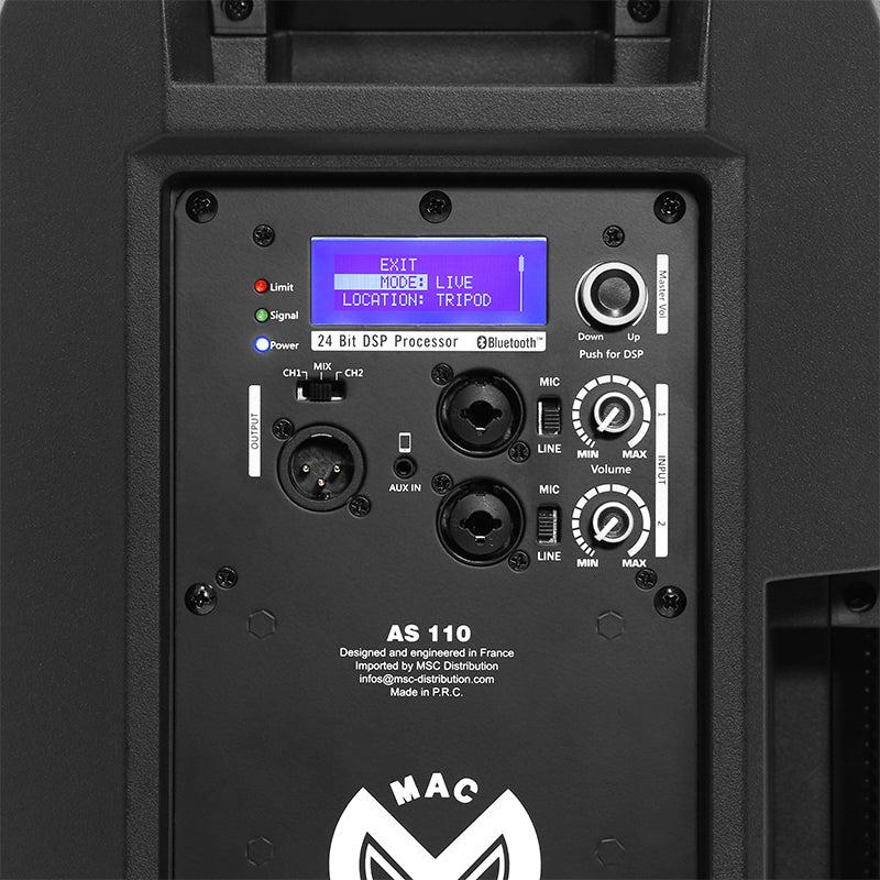 Boxă activă 2 căi 10'' 300W, DSP, clasa D, Mac Mah AS110
