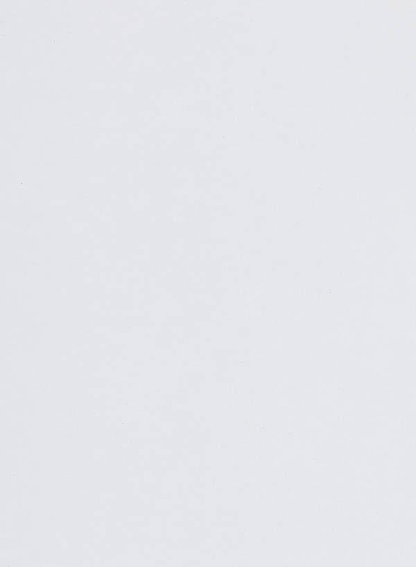 Blat Kst Lucios Alb Polar 38x600x4100