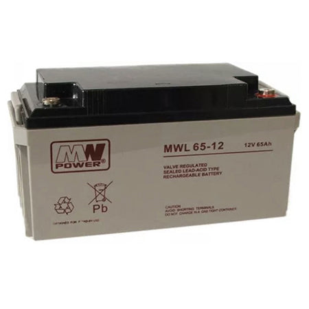 Acumulator AGM 12 V 65 Ah BAT12V65