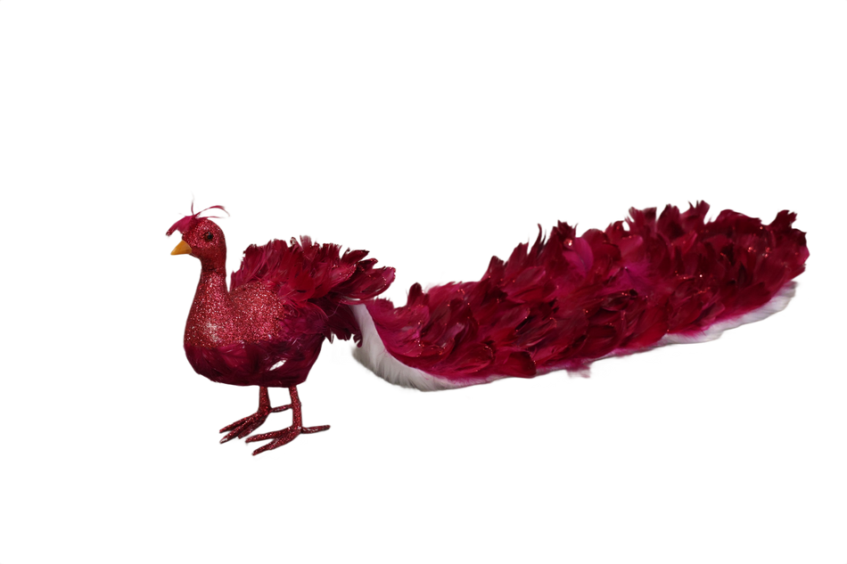 Xmas Paun Cu Pene 70 Cm, Visiniu