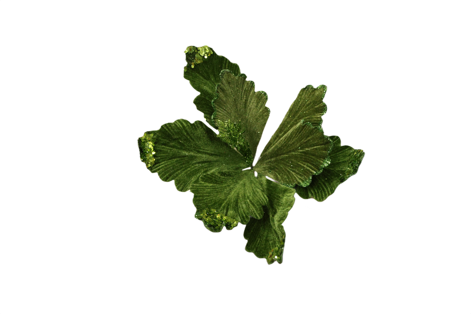 FLOARE POINSETIA CATIFEA VERDE XMAS EF95