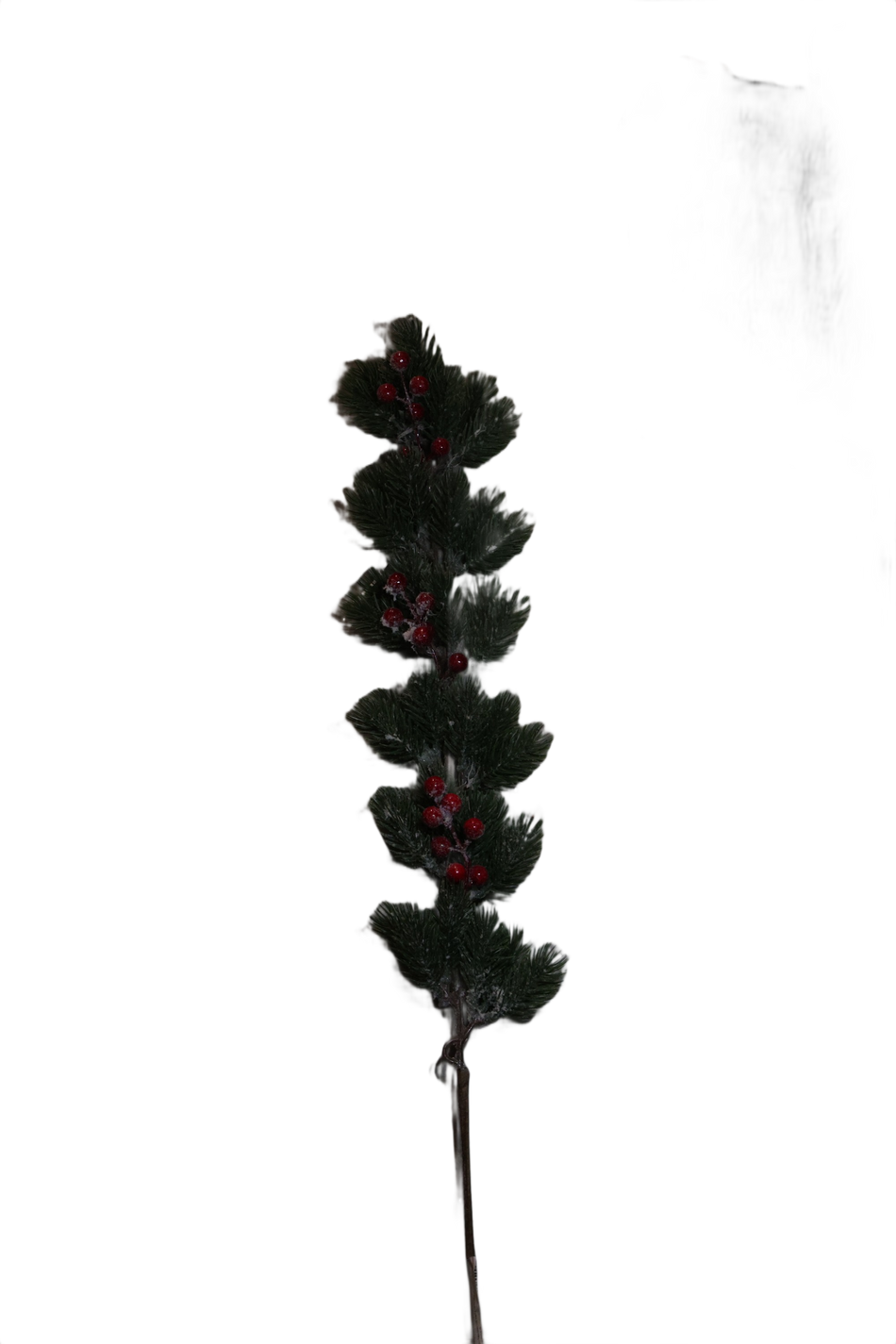 XMAS PICK BRAD NINS