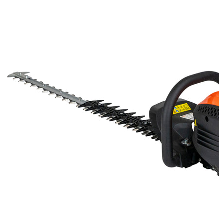 Motofoarfeca Ruris F555