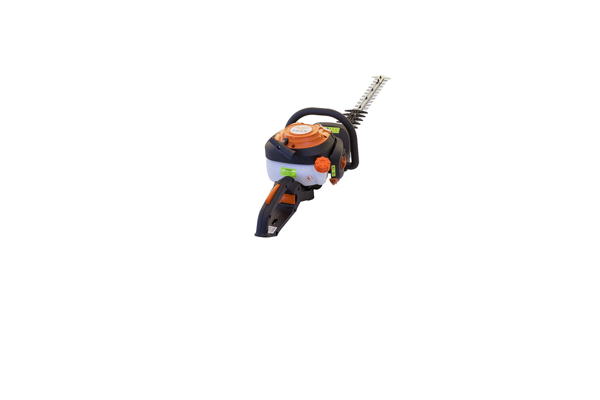 Motofoarfeca Ruris F555