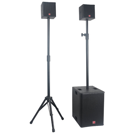 Kit subwoofer 10" 400 W RMS și 2 sateliți, DSP, BST FIRST-S2.1