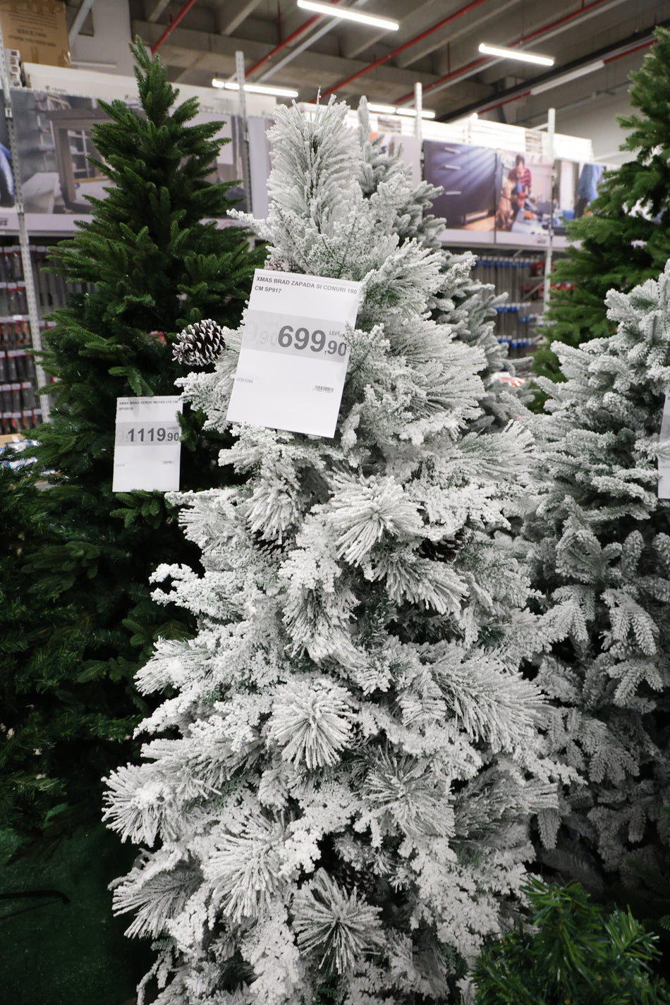XMAS BRAD ZAPADA SI CONURI 180 CM SP917