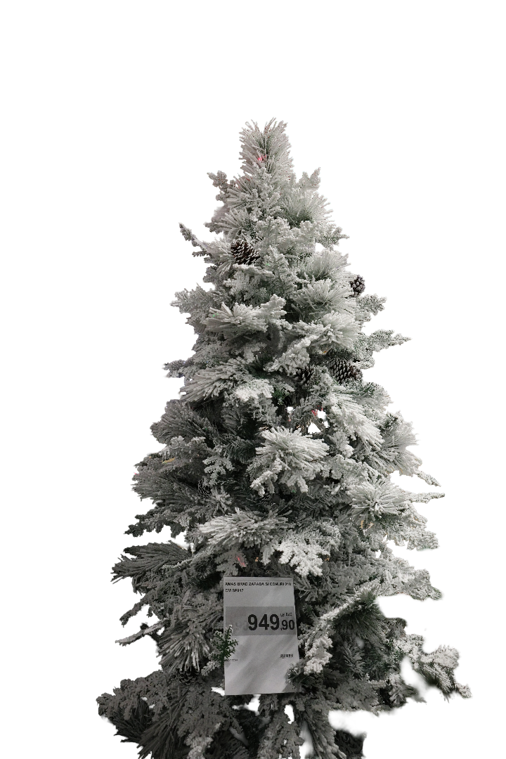 XMAS BRAD ZAPADA SI CONURI 210 CM SP917