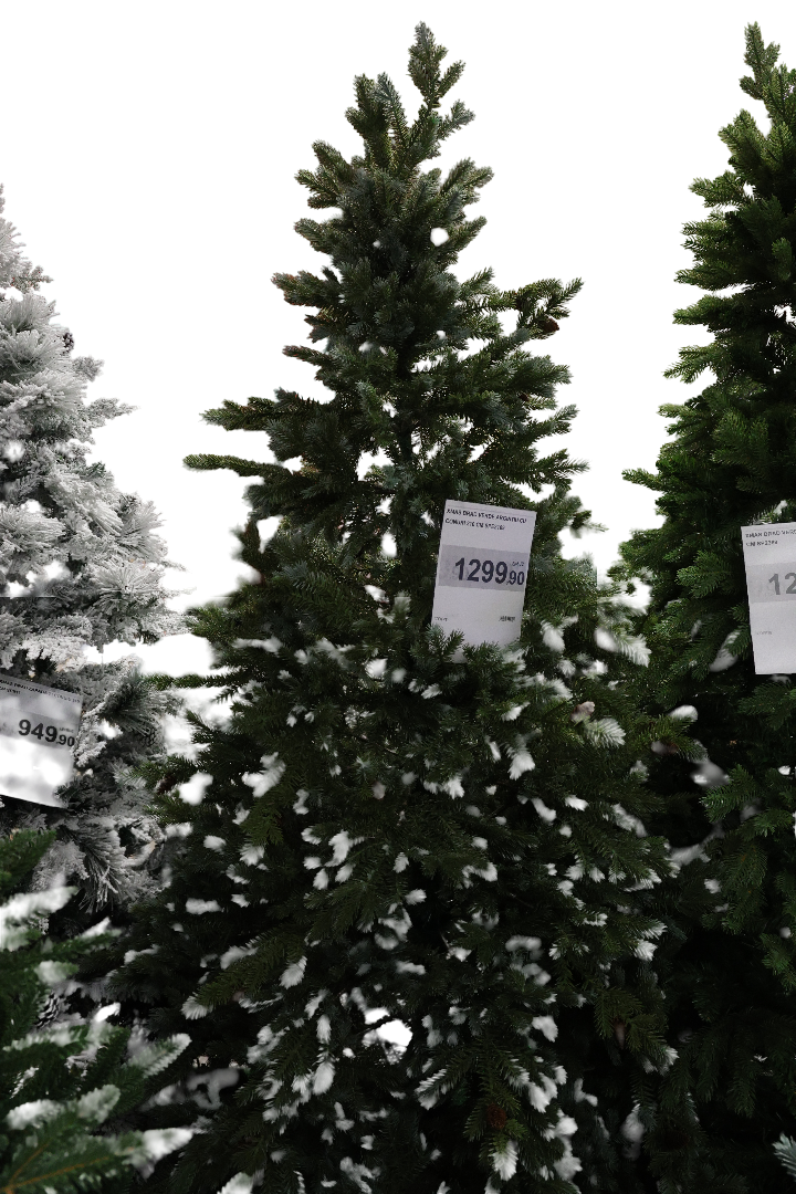 XMAS BRAD VERDE ARGINTIU CU CONURI 210 CM SPE2109