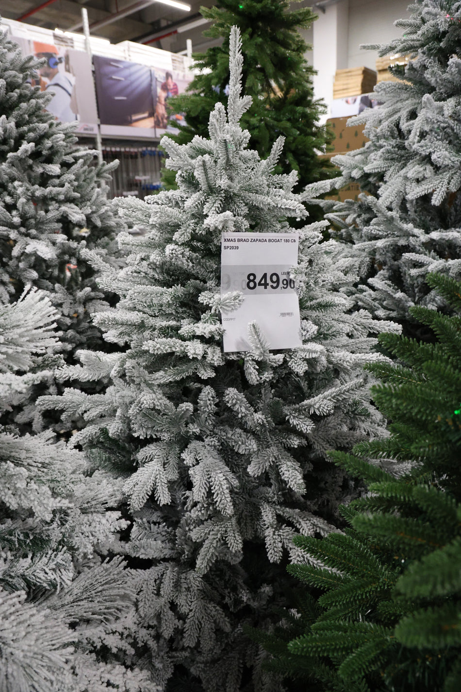 XMAS BRAD ZAPADA BOGAT 180 CM SP2039