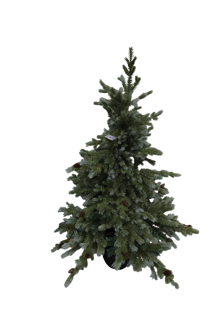XMAS BRAD VERDE ARGINTIU CU CONURI IN GHIVECI 120 CM