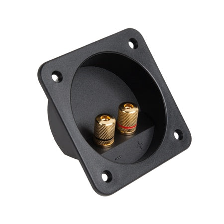 Conector boxă 2 banane aurii, montare pe panou GNI0241