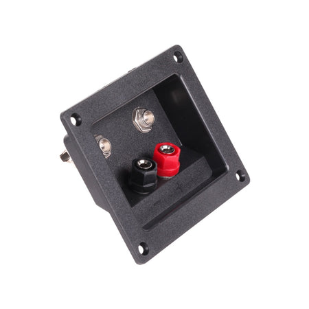 Conector boxă cu 2 banana și 2 jack 6.3 mm, montare pe panou GNI0243