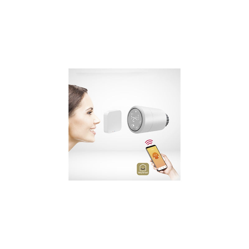 Cap termostat smart gateway cu funcții Zigbee și Wi-Fi Isnatch K-49683000