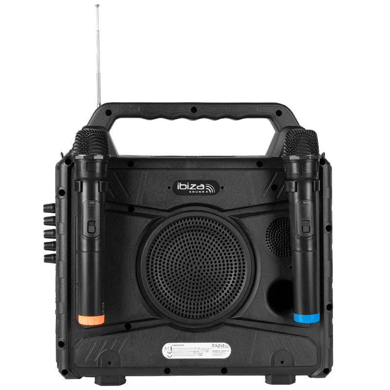 Set portabil karaoke cu ecran 14.1", 2 microfoane wireless, Bluetooth, Ibiza Sound KARAVISION