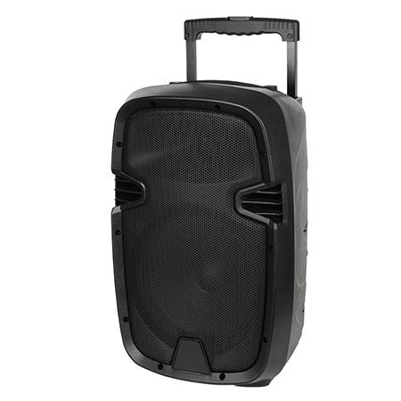 Boxă portabilă activă de 20 W cu Bluetooth, USB și microfoane fără fir MIK1010