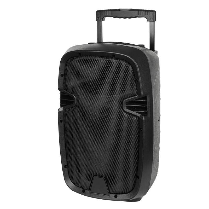 Boxă portabilă activă de 20 W cu Bluetooth, USB și microfoane fără fir MIK1010