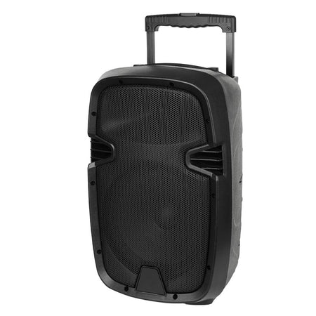 Boxă portabilă activă de 20 W cu Bluetooth, USB și microfoane fără fir MIK1010