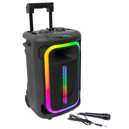 Boxă portabilă cu efecte LED 12"/30 cm, TWS, microfon - Ibiza Sound MOBILE800