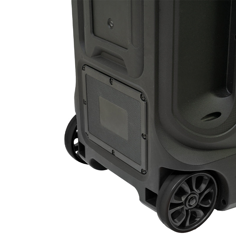 Boxă portabilă cu efecte LED 12"/30 cm, TWS, microfon - Ibiza Sound MOBILE800