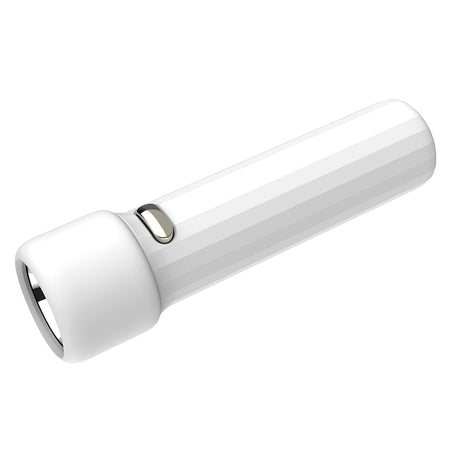 Set 30 lanterne LED albe de 2 W cu baterie de 1200 mAh și încărcare microUSB Platinet PAF8931
