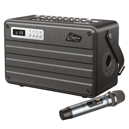 Boxa Portabila All In One 100w  Uhf Bt/usb/msd/aux