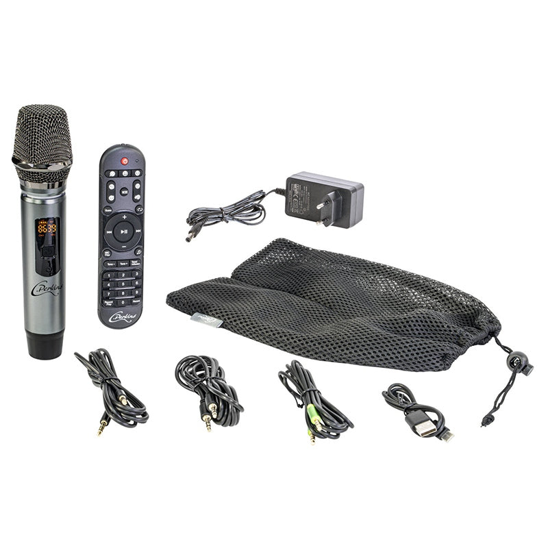 Boxa Portabila All In One 100w  Uhf Bt/usb/msd/aux