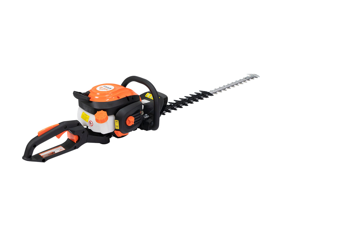 Motofoarfeca Ruris F555