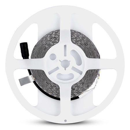Banda Led Smd3528 120led/m 6500k Ip20 5m