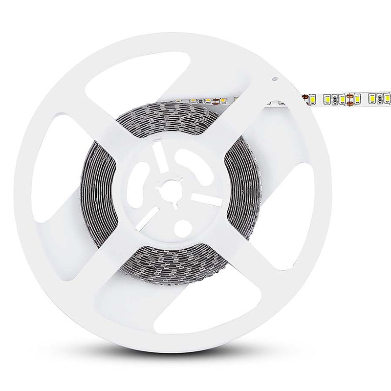 Banda Led Smd3528 120led/m 6500k Ip20 5m