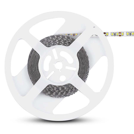 Banda Led Smd3528 120led/m 6500k Ip20 5m