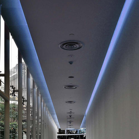 Banda Led Smd3528 60led/m Albastru Ip65 5m