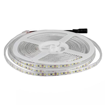 Banda Led Smd3528 120led/m 6400k Ip65 5m