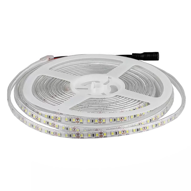 Banda Led Smd3528 120led/m 6400k Ip65 5m