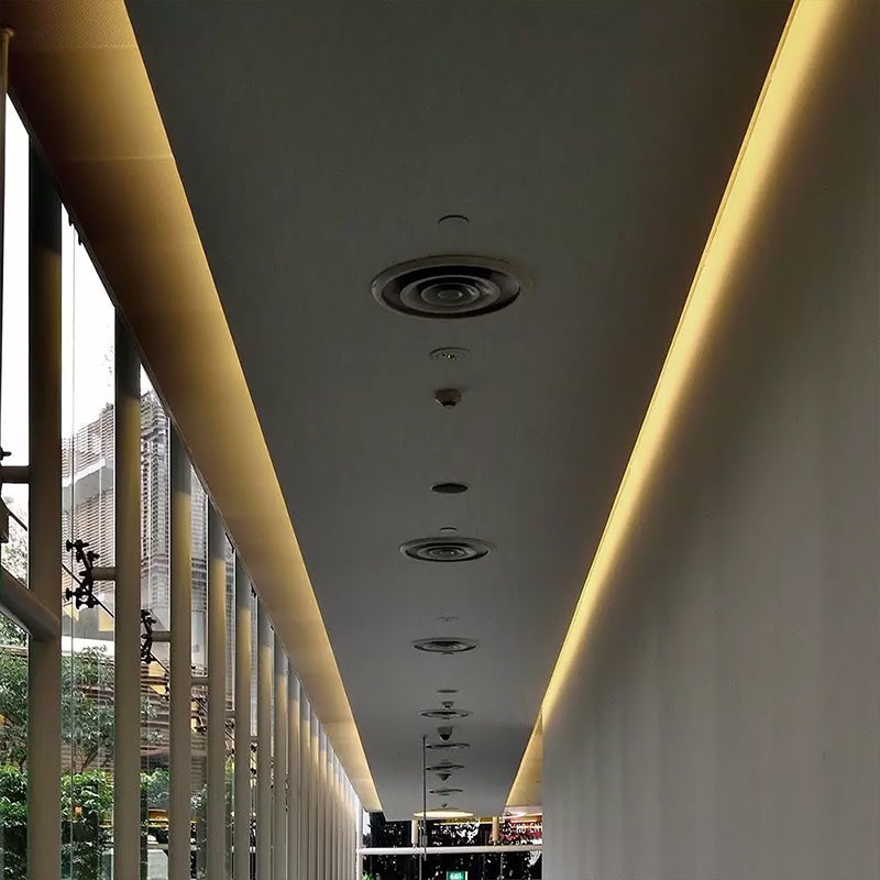 Banda Led Smd3528 120led/m 6400k Ip65 5m