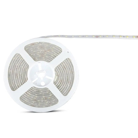 Banda Led Smd5050 24v 60led/m 6400k Ip65 5m