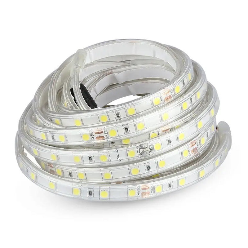 Banda Led Smd5050 24v 60led/m 6400k Ip65 5m
