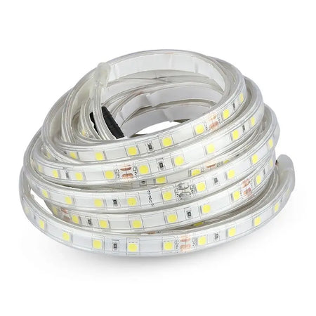 Banda Led Smd5050 24v 60led/m 6400k Ip65 5m