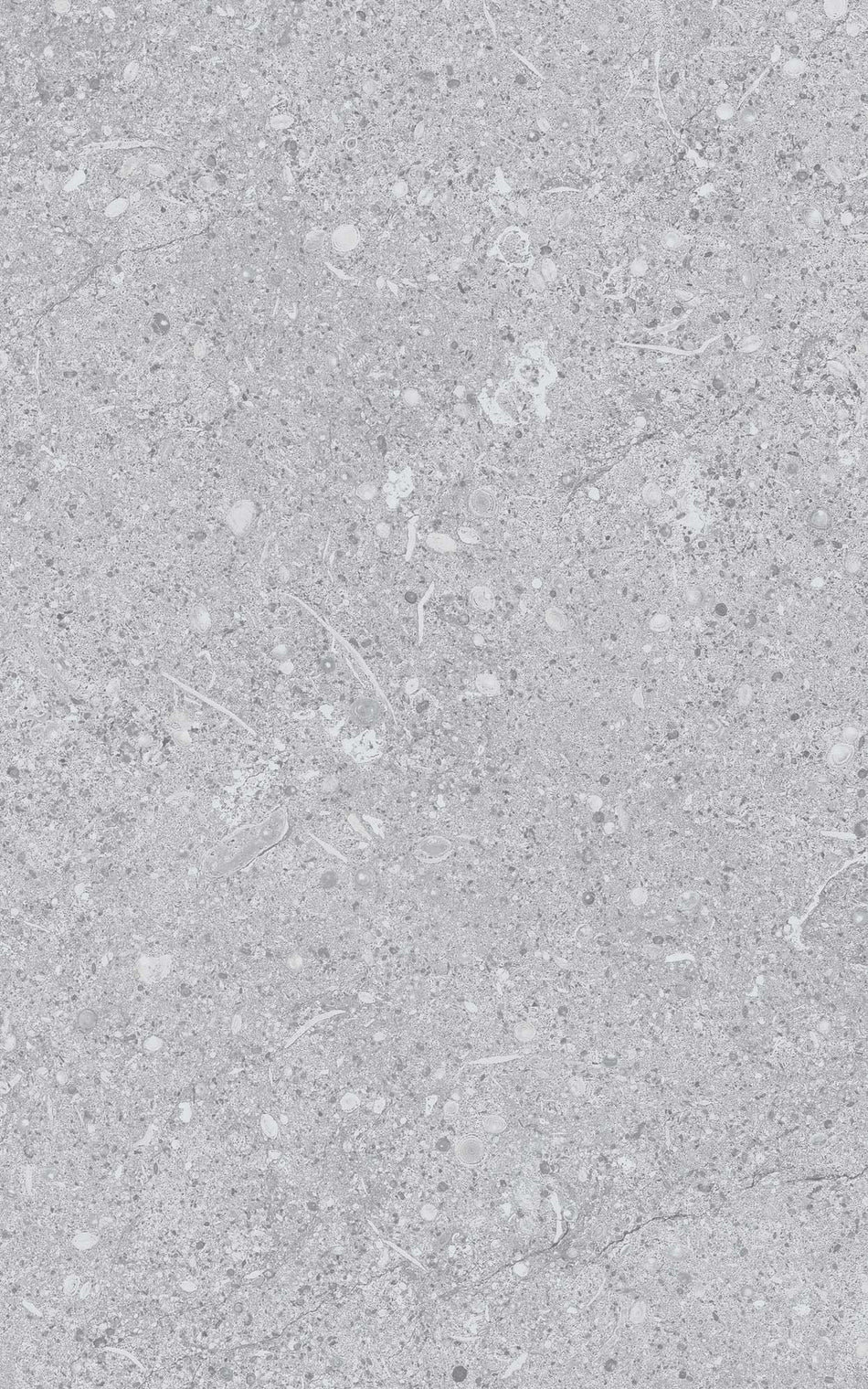 Faianta Greco Grey 1.2mp/cut