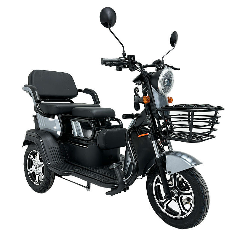 Triciclu electric RPX-TRI cu șezut ajustabil, 1000W, baterie 60V 20Ah, cod furnizor public
