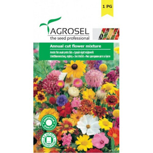 Amestec Flori Anuale Albastre