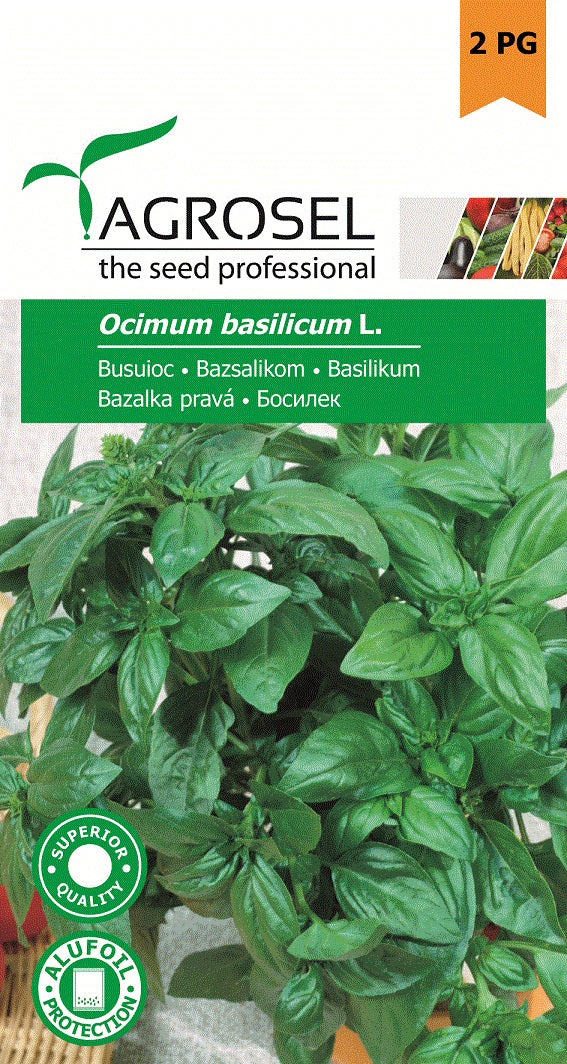 Busuioc