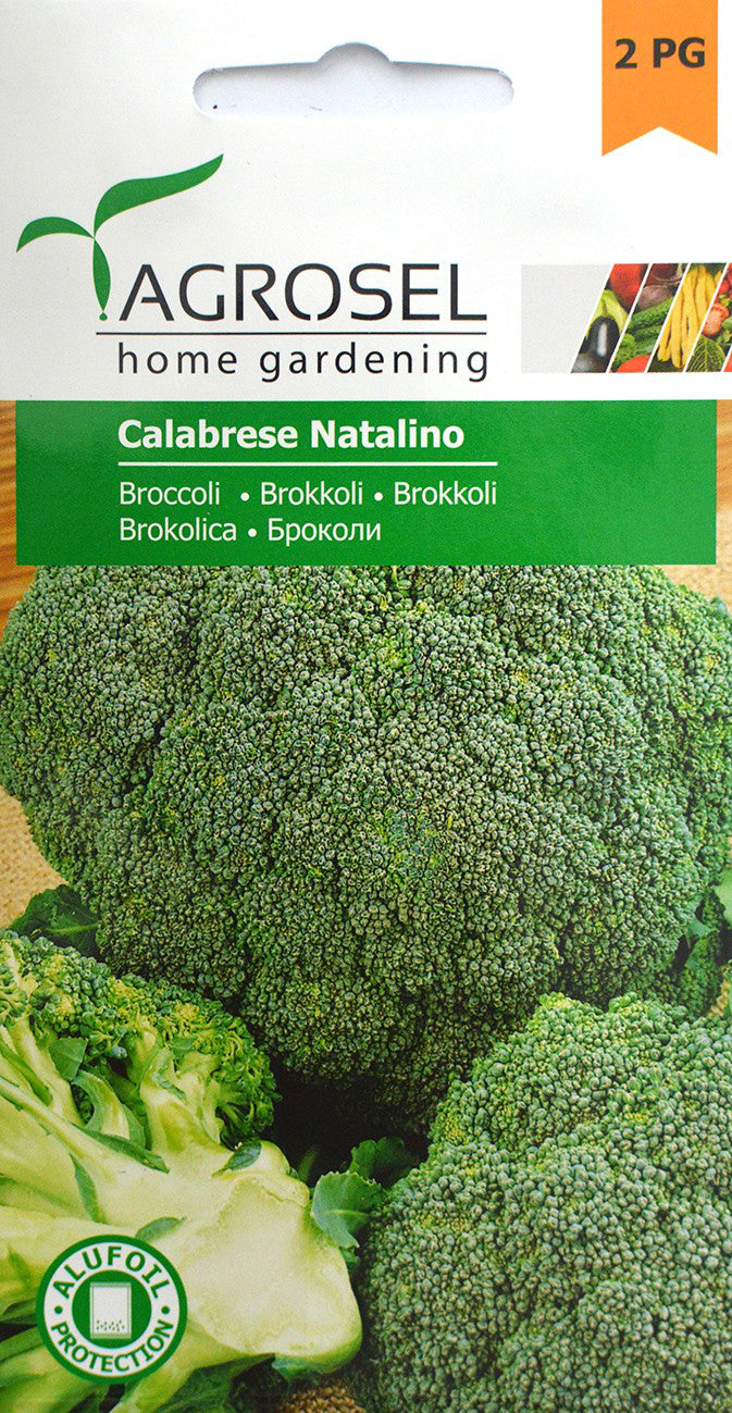 Broccoli C Natalino
