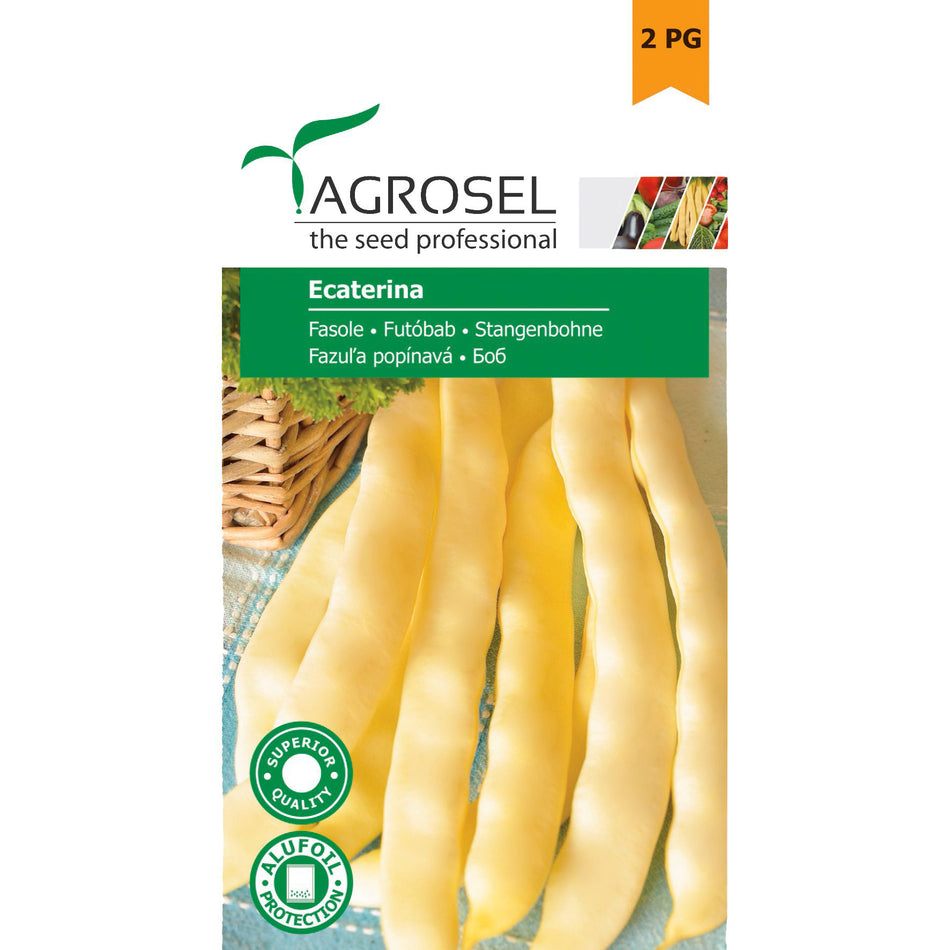 Fasole Ecaterina
