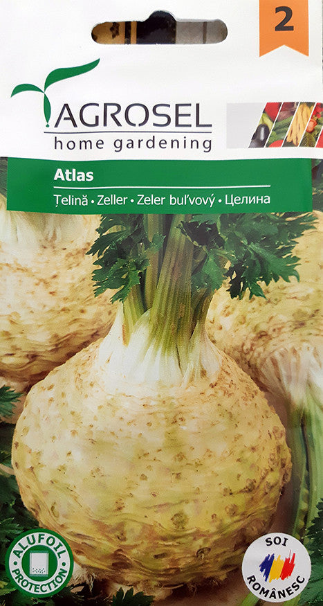 Telina Atlas