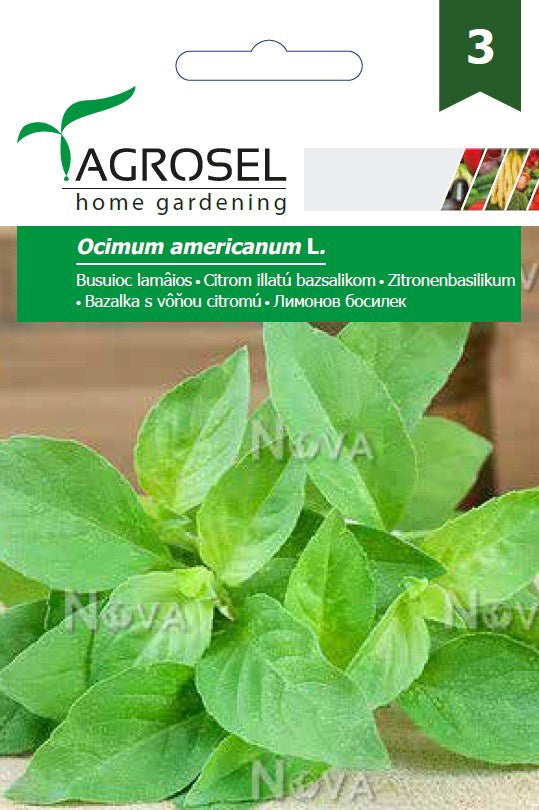 Busuioc Lamaios